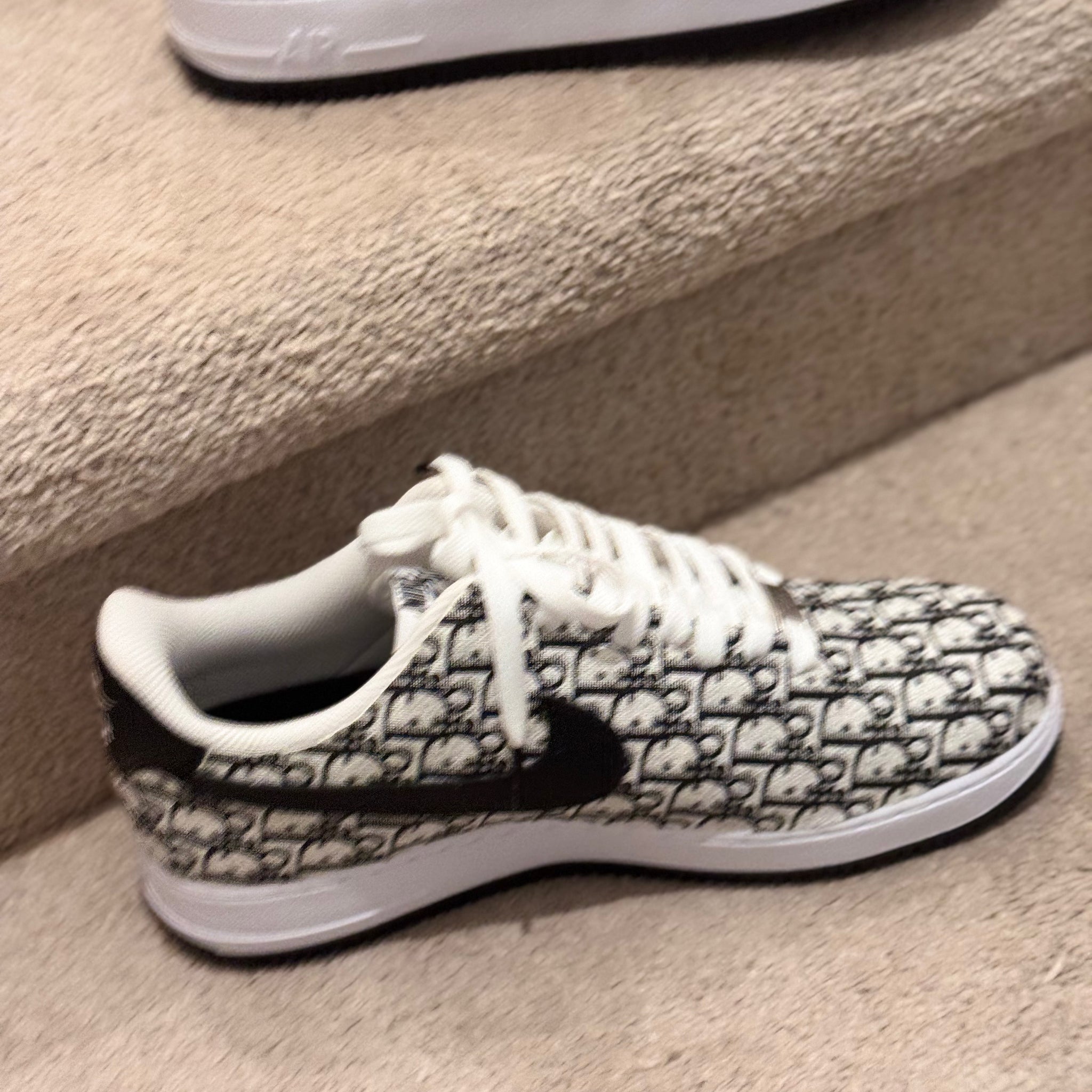 Custom Dior AF1